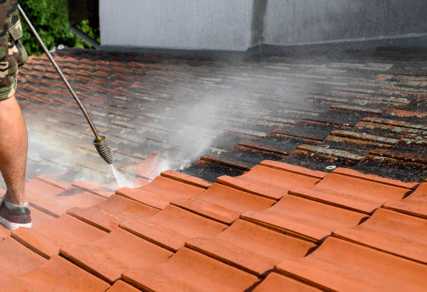 Best Garage Pressure Washing  in Pine Island, TX