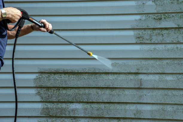 Best Roof Pressure Washing  in Pine Island, TX