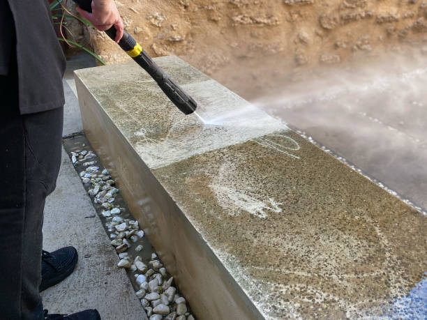 Best Deck Cleaning Services  in Pine Island, TX
