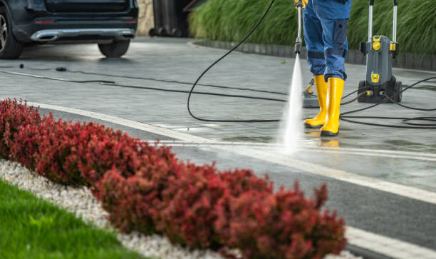 Best House Pressure Washing  in Pine Island, TX
