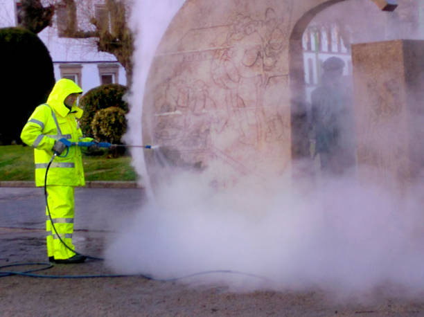 Best Roof Pressure Washing  in Pine Island, TX