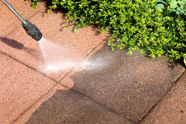 Best Pressure Washing Company Near Me  in Pine Island, TX