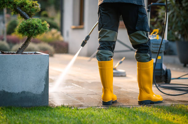 Best Pressure Washing Driveway  in Pine Island, TX
